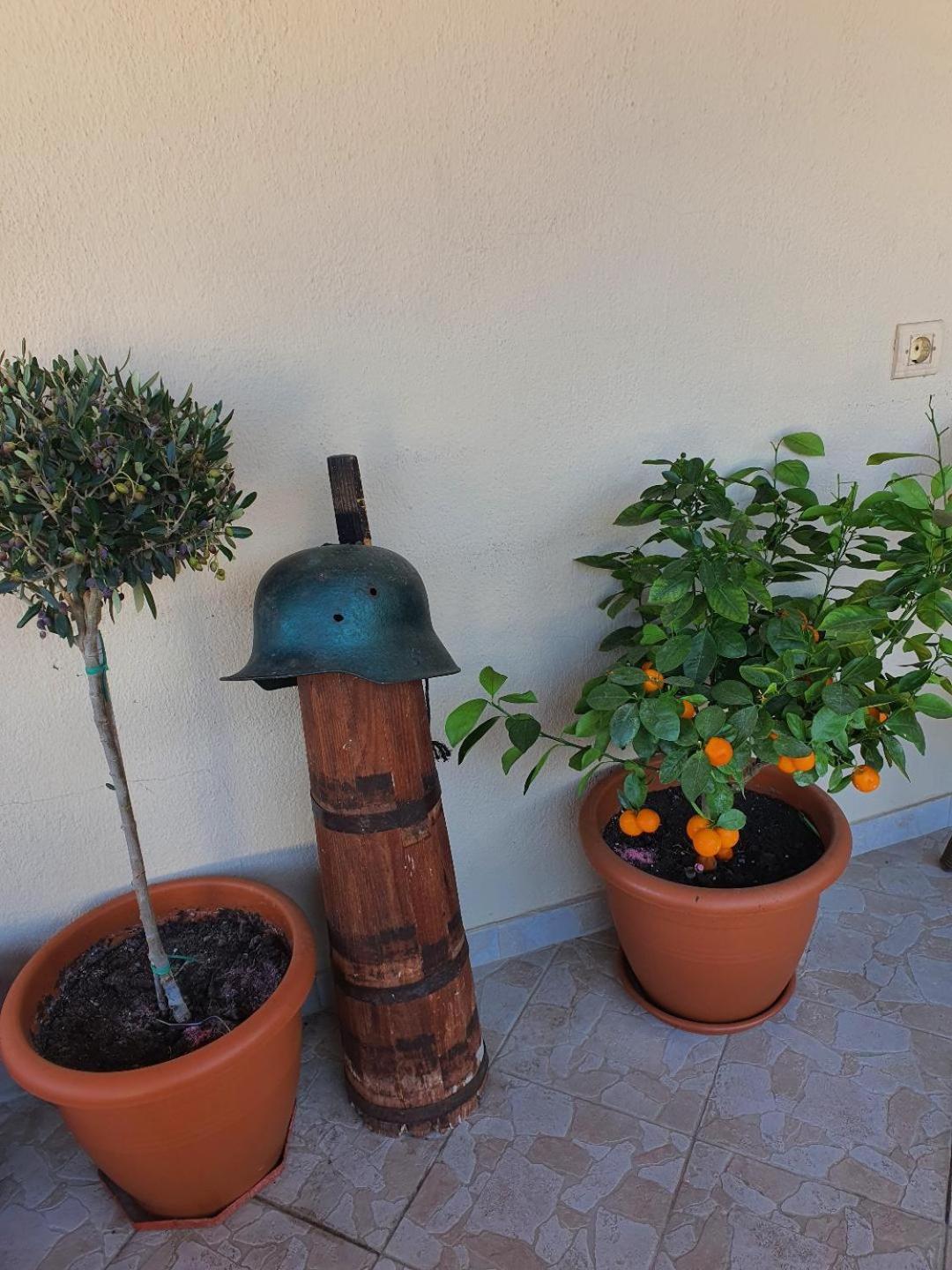 Alexandros Guesthouse Orma Luaran gambar